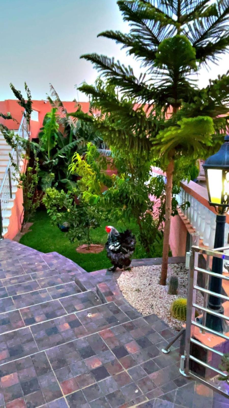 Riad B&B Homestay Agadir